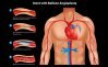 Cardio Images